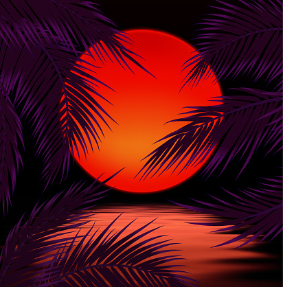 Sunset with palm trees, sun and palm leaf background. Vector illustration.