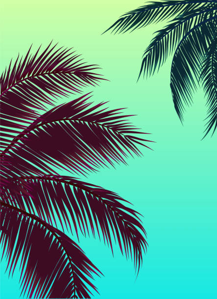 niebo z palmami, zielonym niebem i liściem palmowym - sunset beach sky heat stock illustrations