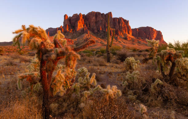 istock Sunset in Lost Dutchman State Park 1325118696