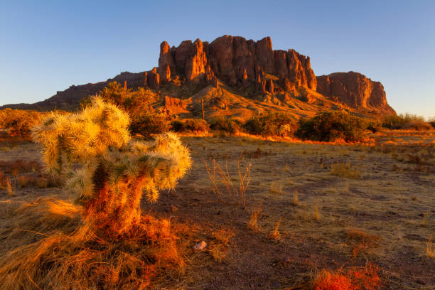 tramonto nel lost dutchman state park - brittlebush foto e immagini stock