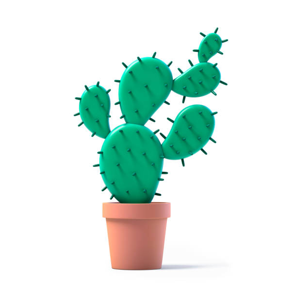istock Cactus in pot isolated on white background 1325125985