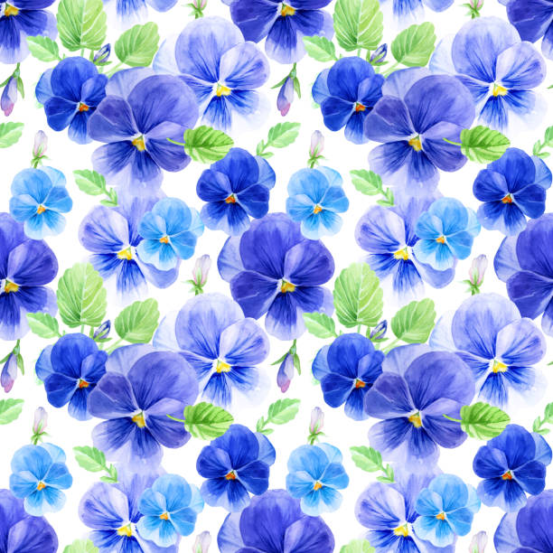 93 Blue Flower Blooming Illustrations & Clip Art - iStock