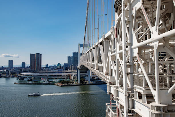 istock Fast boat passing under the suspension bridge in the bay 1325135716