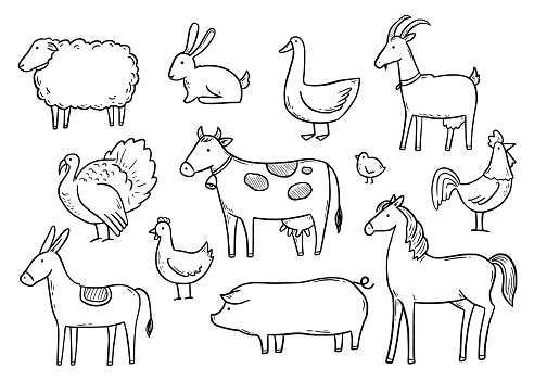 Hand drawn set farm domestic animal, horse, cow, bird. Doodle sketch style. Pork, fowl meat, farm food background, icon. Isolated vector illustration.