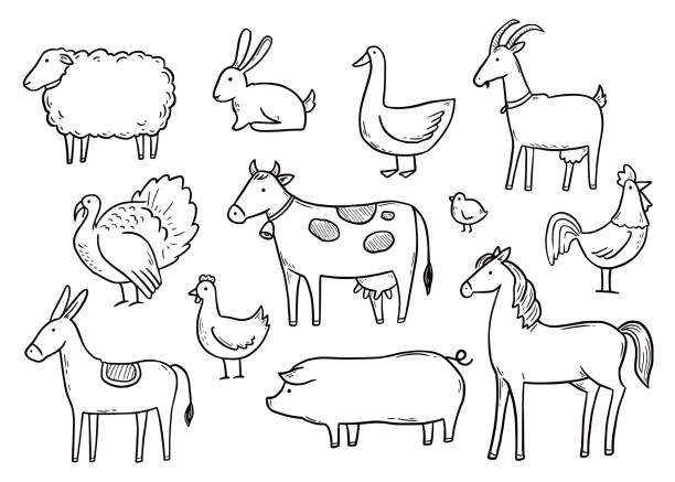 Hand drawn set farm domestic animal Hand drawn set farm domestic animal, horse, cow, bird. Doodle sketch style. Pork, fowl meat, farm food background, icon. Isolated vector illustration. drawing art product stock illustrations