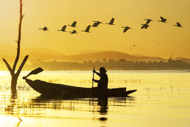 silhouettes des pêcheurs sur pilotis traditionnels au coucher du soleil. - native bird photos et images de collection