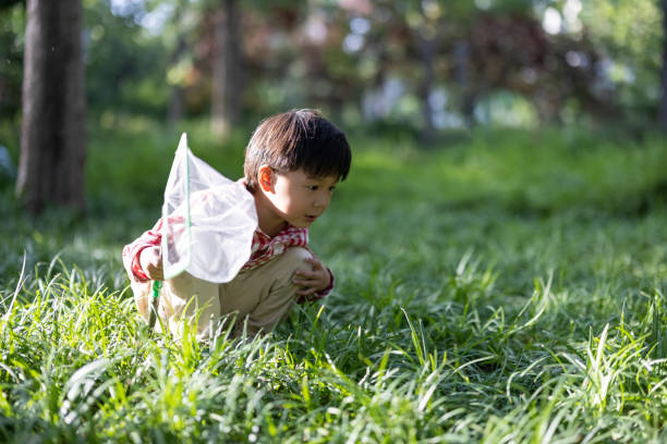 istock Asian boys playing in the park 1325148887