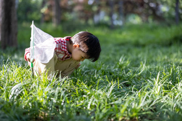 istock Asian boys playing in the park 1325148892