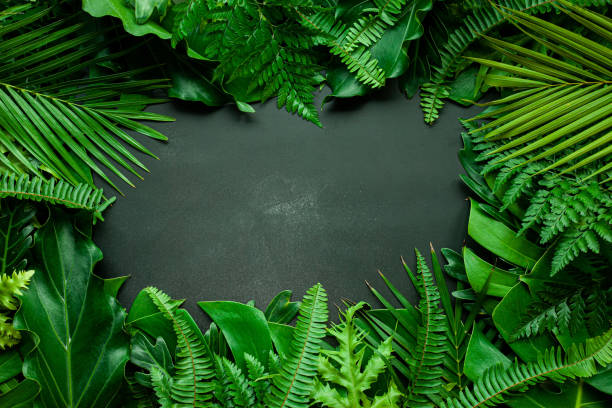 istock Creative nature layout made of tropical leaves. Summer concept. 1325152295
