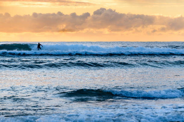 istock Central Coast NSW, sunrise during Autumn Spring 2019 (Erina, NSW, Australia) 1325156498