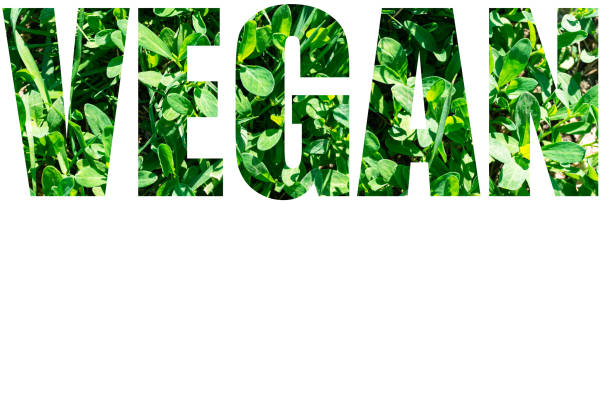 istock The word VEGAN from green grass isolated on white background. Elements for your design 1325156688