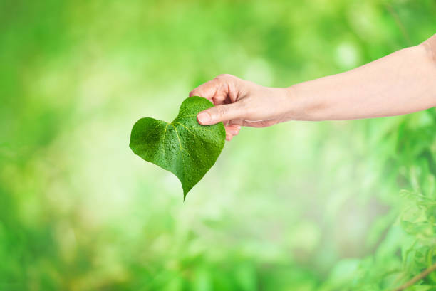 istock Gift Love to the world and environment concept 1325157553