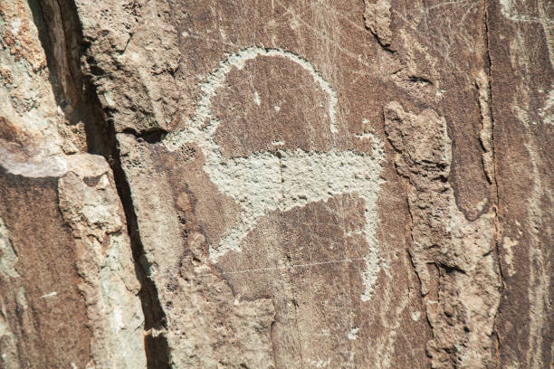 Petroglyphs, ancient rock paintings in Altai. Siberia, Russia.