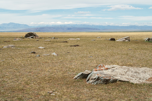 Huge stones among the steppe plain against the backdrop of a distant mountain range. Altai, Russia.