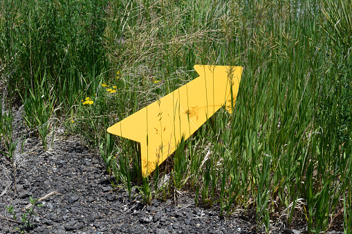 Yellow direction arrow pointing from asphalt road into wild grasses as concept to travel the lesser known off the beaten path