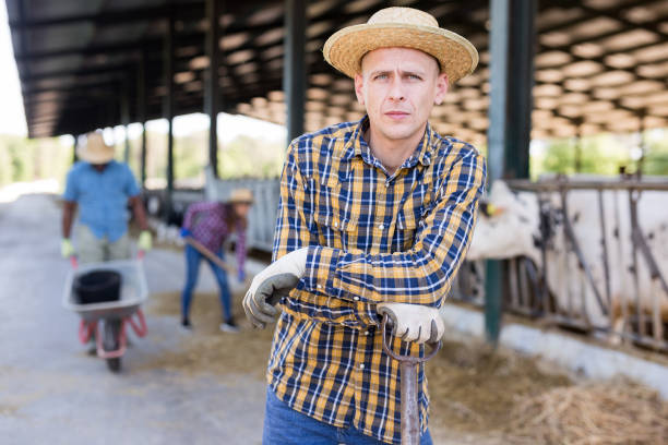 istock Male farmer posing at cowshed on farm 1325162522