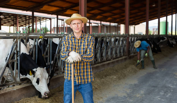 istock Male farmer posing at cowshed on farm 1325163474