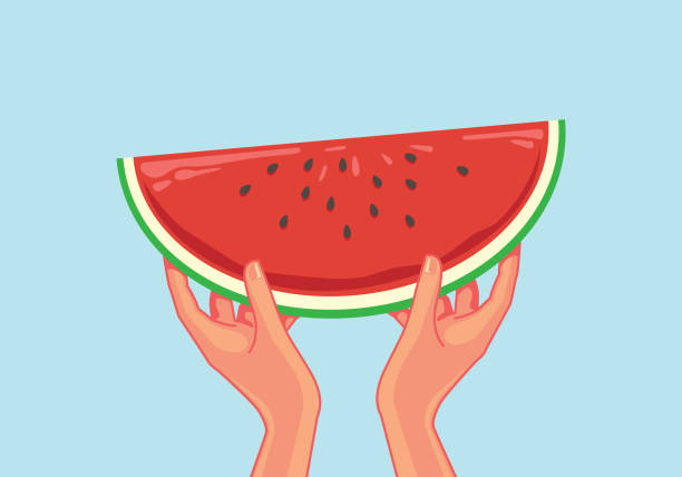 Watermelon Rind Cartoon 3,900+ Watermelon Rinds Stock Illustrations, Royalty-Free Vector ...