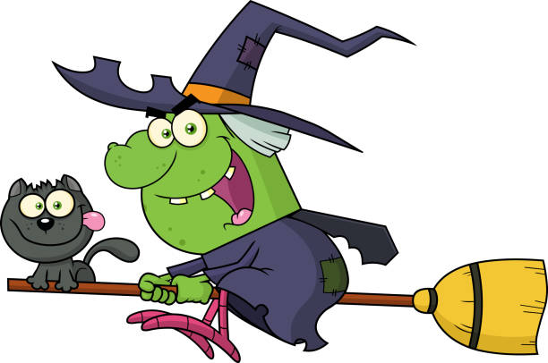 Ugly Witch And Cat Flying On A Broom Stick Cartoon Characters Stock  Illustration - Download Image Now - iStock
