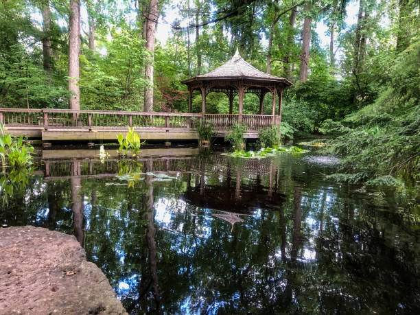 istock Brown wooden gazebo by water 1325168769