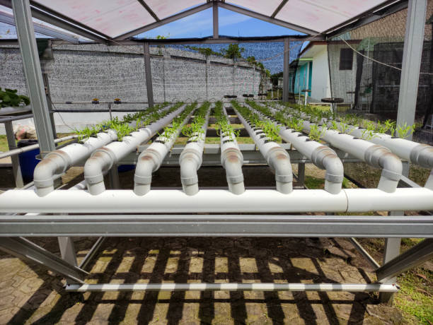 Hydroponic Module 170+ Modul Stock Photos, Pictures & Royalty-Free Images - iStock