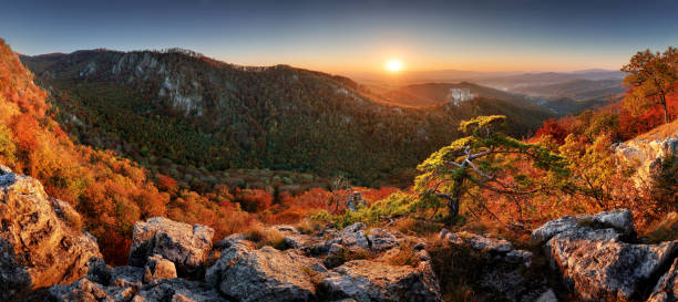 istock Autumn rural forest landscape at sunset 1325172911