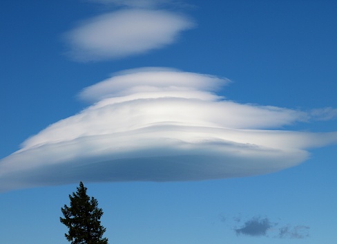 A fir tree appears to touch the edge of a lenticular cloud over Lake Tekapo.