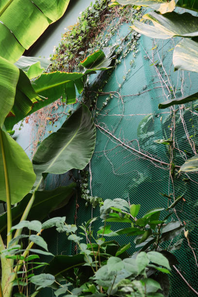 istock Vertical garden with tropical green leaf 1325174709
