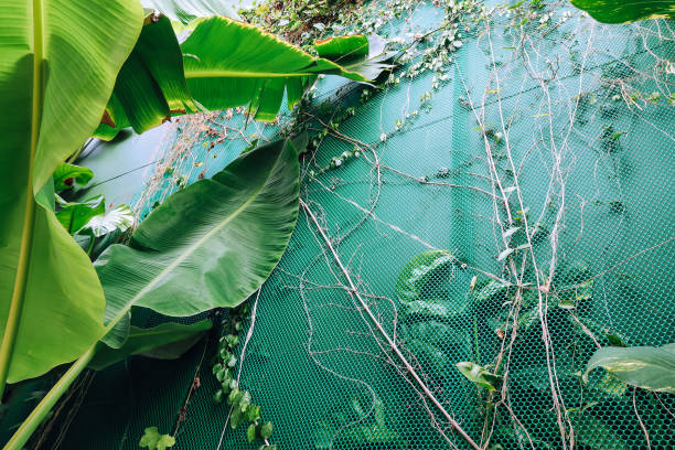 istock Vertical garden with tropical green leaf 1325174720