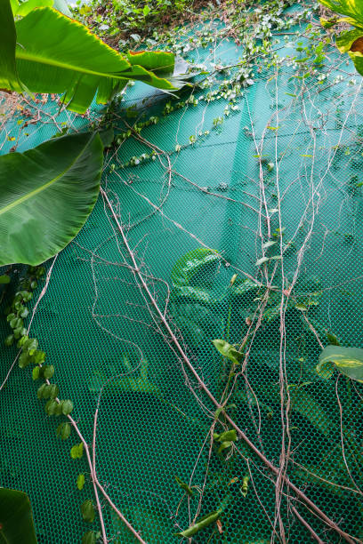 istock Vertical garden with tropical green leaf 1325174730