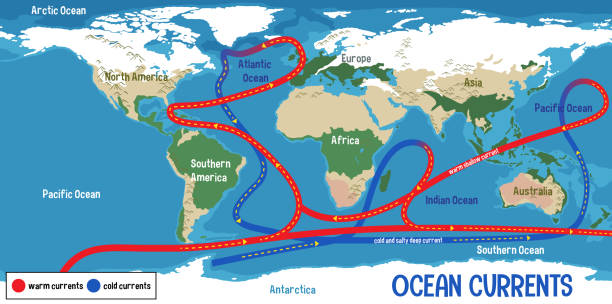 ilustrações de stock, clip art, desenhos animados e ícones de ocean currents on world map background - tide