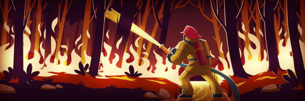 bildbanksillustrationer, clip art samt tecknat material och ikoner med fireman fight with fire in forest, catastrophe - australia forest background
