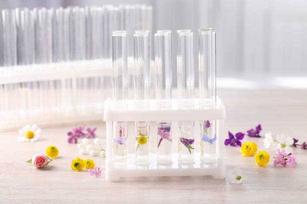 istock Test tubes with different flowers on white wooden table. Essential oil extraction 1325179624