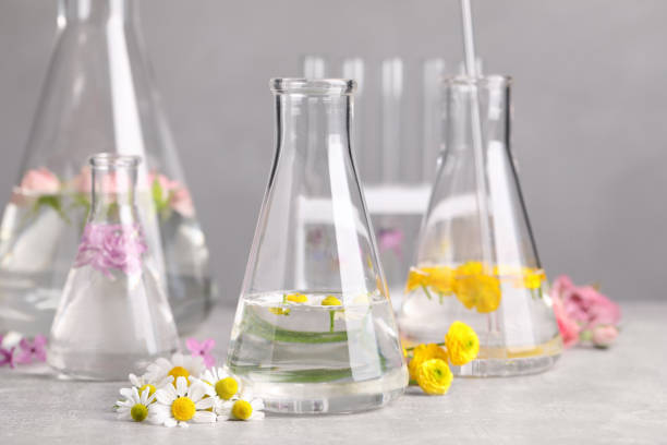 istock Flasks with different flowers on light table. Essential oil extraction 1325179756