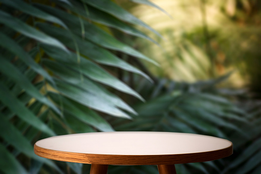 Fondo de la tabla de la selva. Mesa interior para un artículo cosmético con el telón de fondo de plantas tropicales, palmeras y selva. photo