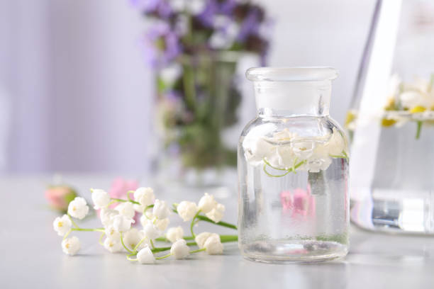 istock Laboratory glassware with different flowers on light table. Essential oil extraction 1325180706