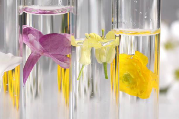 istock Test tubes with different flowers, closeup. Essential oil extraction 1325180746
