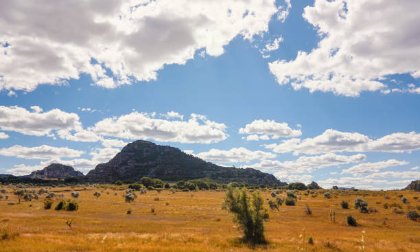 istock Low grass growing on African savanna, small rocky mountains in background - typical scenery at Isalo national Park, Madagascar 1325180848