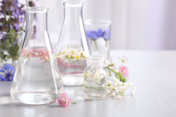 istock Laboratory glassware with different flowers on light table, space for text. Essential oil extraction 1325180908