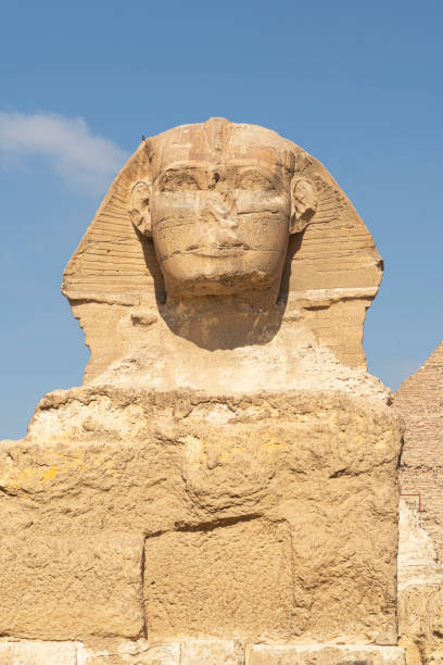 Close up of Great Sphinx of Giza, Egypt. Limestone statue of a reclining sphinx, mythical creature with the body of a lion and the head of a human against the blue sky Close up of The Great Sphinx of Giza, Egypt. Limestone statue of a reclining sphinx, a mythical creature with the body of a lion and the head of a human against the blue sky pyramid giza pyramids close up egypt stock pictures, royalty-free photos & images