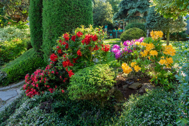 istock summer garden with conifer trees 1325181176