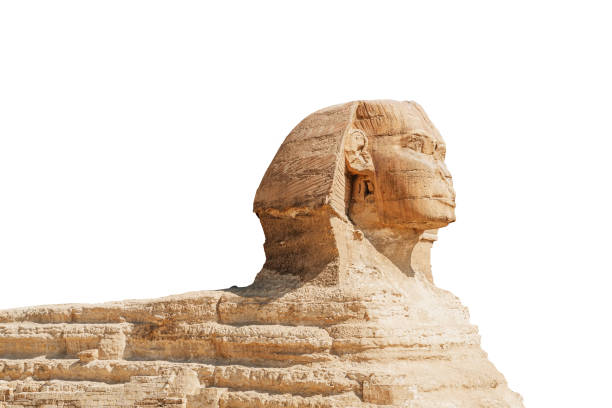 istock The great ancient Sphinx isolated on a white background. side view 1325181183