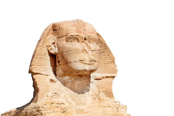 istock The great ancient Sphinx isolated on a white background 1325181187