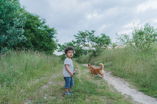 mixed race 3 years old boy  walking with dog outdoors in summer