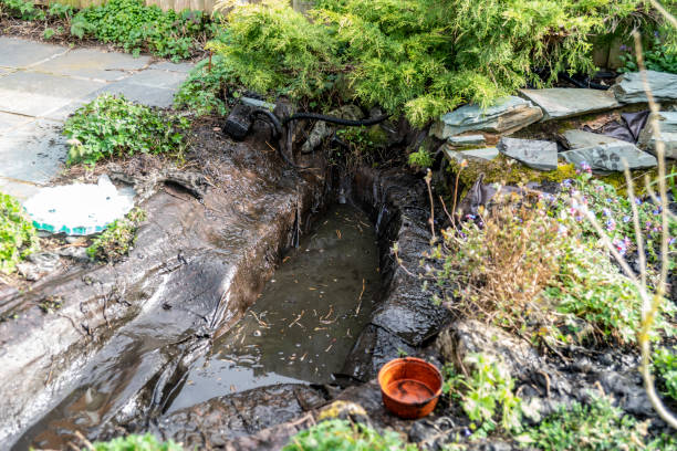 istock Garden pond renovation 1325188680