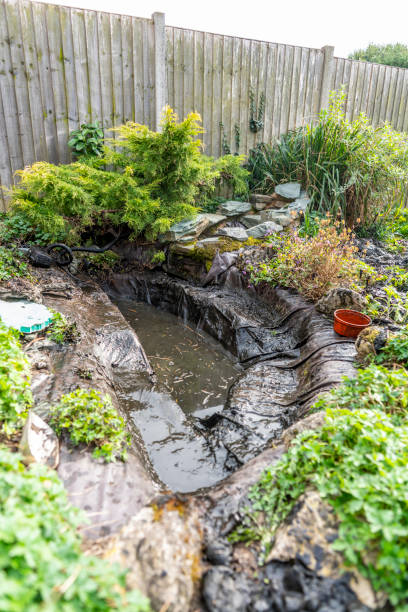 istock Garden pond renovation 1325188967