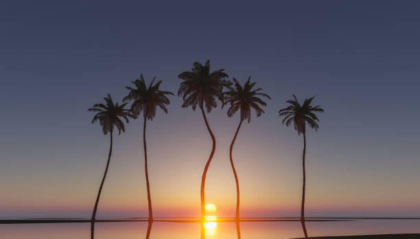 istock palm trees in tropical sunset 1325193239