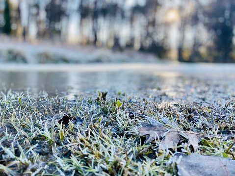 Horizontal closeup landscape photo of frozen water and frost covered grass in the Uralla public park on a Winter morning in the NSW New England High country. Soft focus background of trees in a forest in the distance.