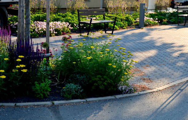 letto di fiori di prateria colorati in un ambiente urbano attraente per insetti e farfalle, triturato dalla ghiaia. agli angoli dell'olio essenziale grandi massi contro l'attraversamento dei bordi - fountain landscaped ornamental garden flower bed foto e immagini stock