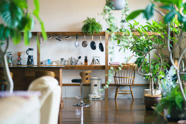 A calm space with foliage plants